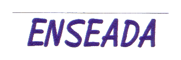 Enseada logo