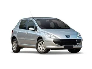 Peugeot 307 Hatch. Presence 1.6 16V (flex)