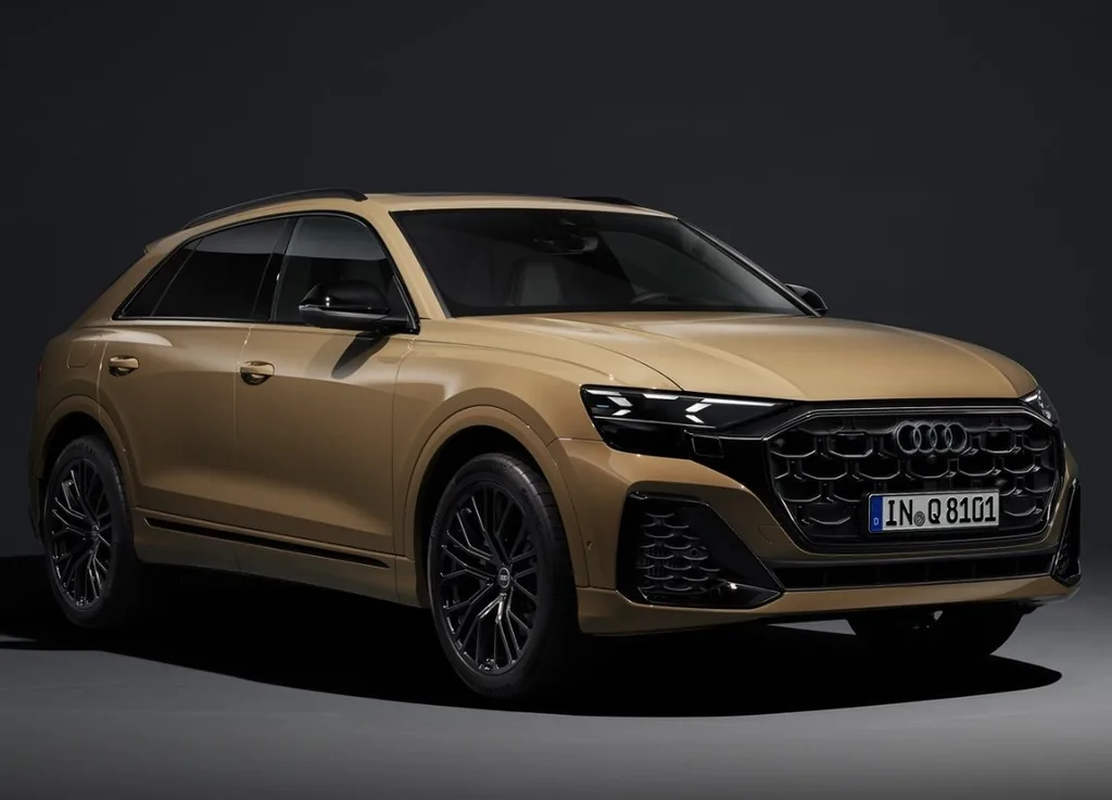 Audi Q8 3.0 Perf. Black Tiptronic Quattro mhev